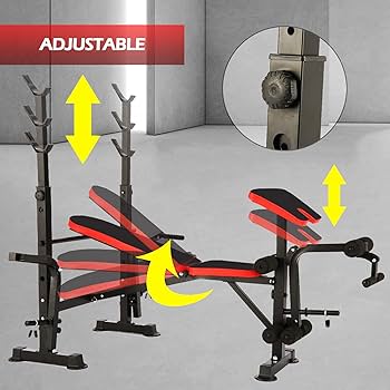 Amazon.co.jp: Aceshin 330ポンド 調整可能 オリンピック